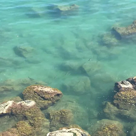 La Casetta Di Dory Sul Mare Apartmán