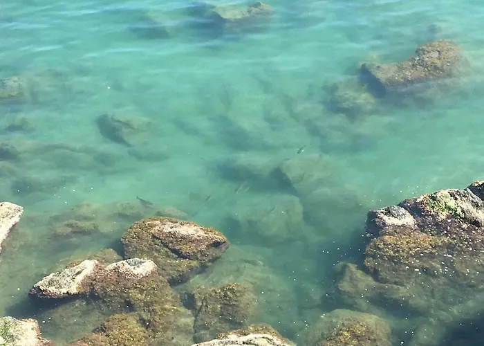 La Casetta Di Dory Sul Mare 아파트